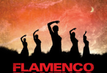 Flamenco Flamenco