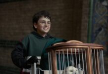 HBO Original Harry Potter dizisinin ilk tanıtımı yayınlandı!